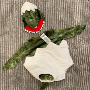 Baby Green Dinosaur Egg Halloween Costume